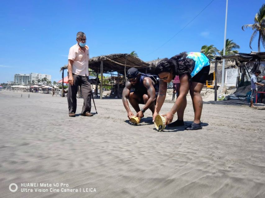 .6Hr Tour Diving Show Baby Turtle Release & All Attractions - Key Points