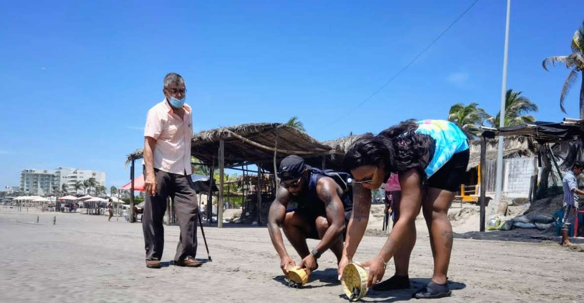 .6Hr Tour Diving Show Baby Turtle Release & All Attractions - Inclusions and Exclusions
