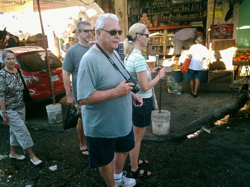.6Hr Tour Diving Show Baby Turtle Release & All Attractions - Visiting Acapulcos Main Avenue
