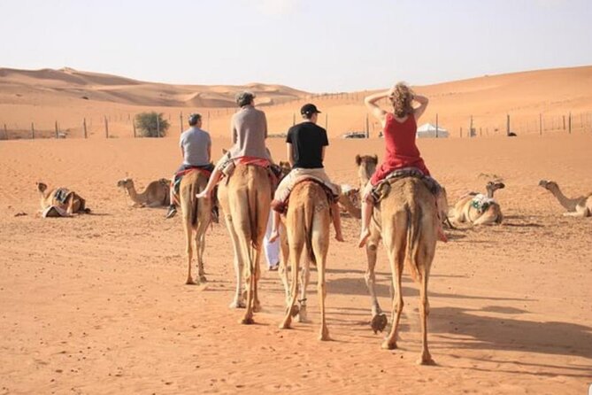 7-8 Hours Private Desert Adventure Trip With Activities - Accessibility and Health Considerations