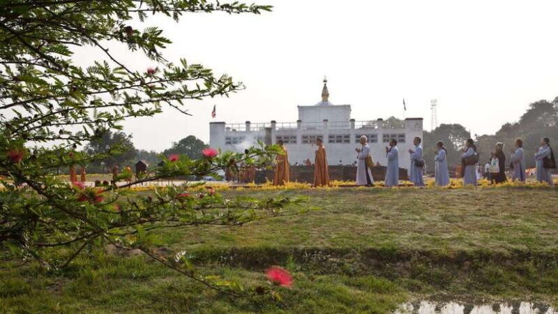 7-Day Buddhist Meditation Retreat in Lumbini - Daily Schedule and Activities