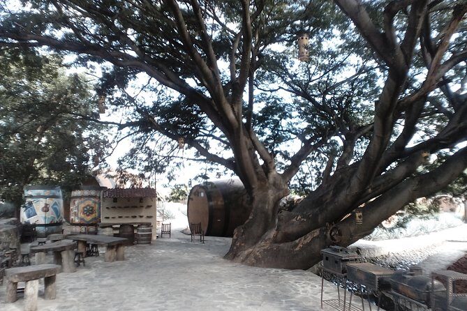 7 day circuit west: México, San Miguel, Guadalajara, Morelia - Exploring Mexico City: Roots and Art