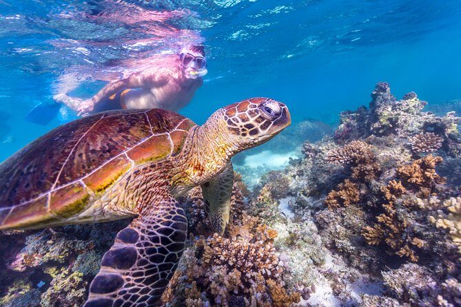 7-Day Exmouth Explorer via Pinnacles Monkey Mia Ningaloo Reef returning to Perth - Final Thoughts