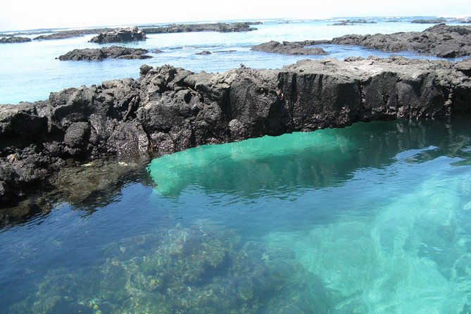 7-Day Galapagos Magic Expedition - Galapagos Adventure Guides