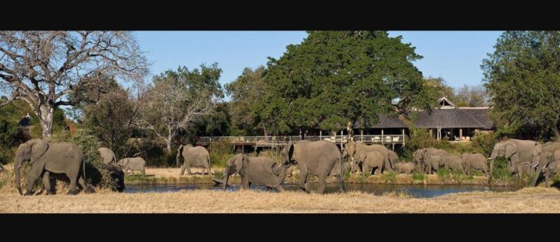 7 Day Garden Route & Addo Nat Park Tour Cape Town to Durban - Good To Know