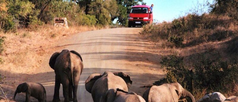 7 Day Garden Route & Addo Nat Park Tour Cape Town to Durban - Included Activities