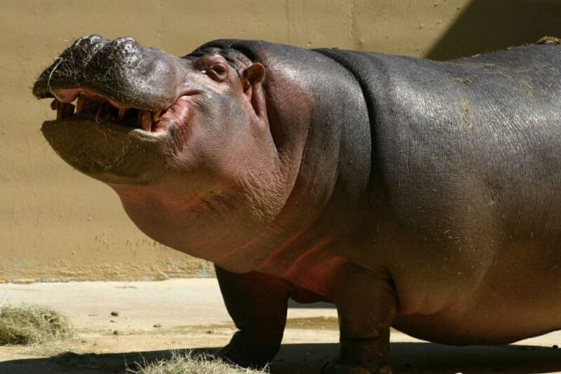 7 Day Garden Route & Addo Nat Park Tour Cape Town to Durban - Accommodations