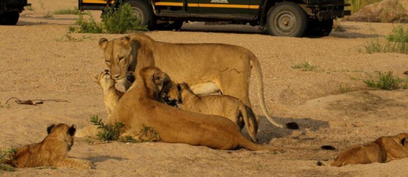 7 Day Garden Route & Addo Nat Park Tour Cape Town to Durban - Breathtaking Landscapes