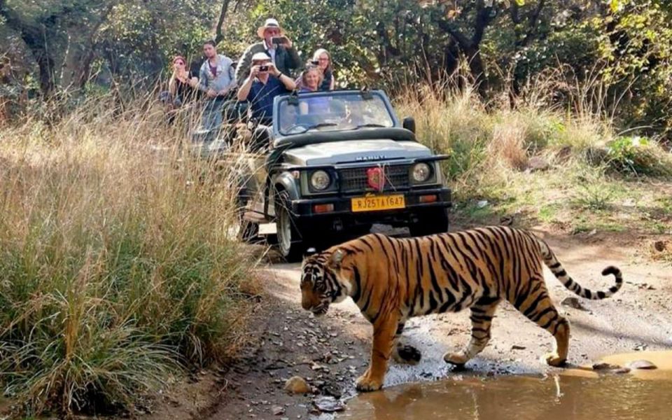 7-Day Golden Triangle Tour With Ranthambore Tiger Safari - Highlights of Each Day