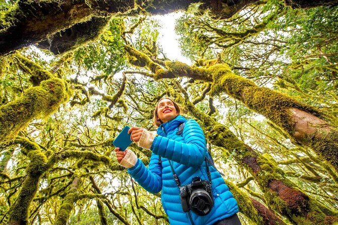 7 Day Guided Small Group Tour On Vancouver Islands West Coast - The Sum Up