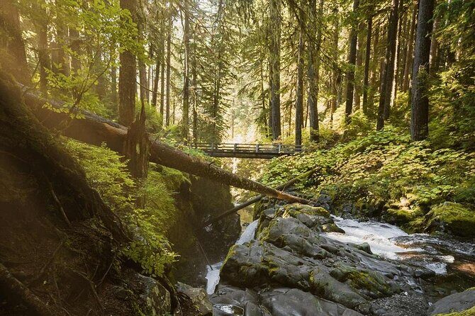 7 Day Guided Small Group Tour On Vancouver Islands West Coast - FAQ