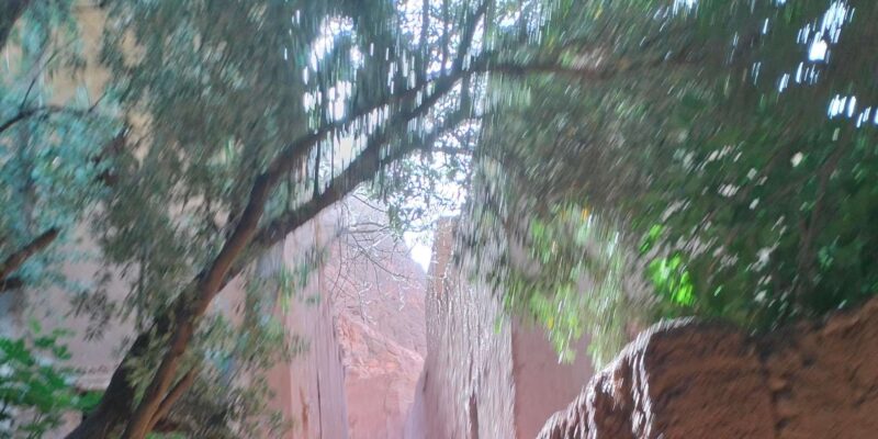 7 Day Imperial Cities & Sahara Desert Tour - Morocco Desert - Good To Know