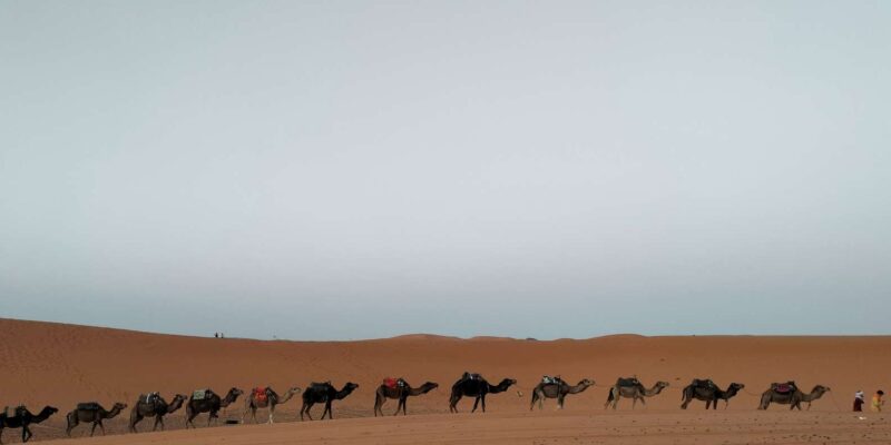 7 Day Imperial Cities & Sahara Desert Tour - Morocco Desert - Inclusions and Services