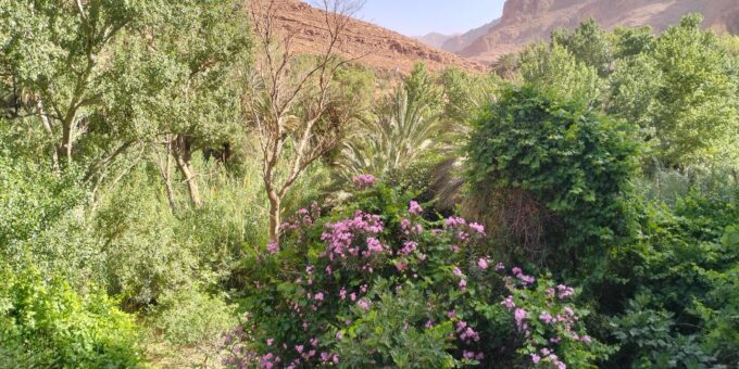 7 Day Imperial Cities & Sahara Desert Tour - Morocco Desert - Frequently Asked Questions