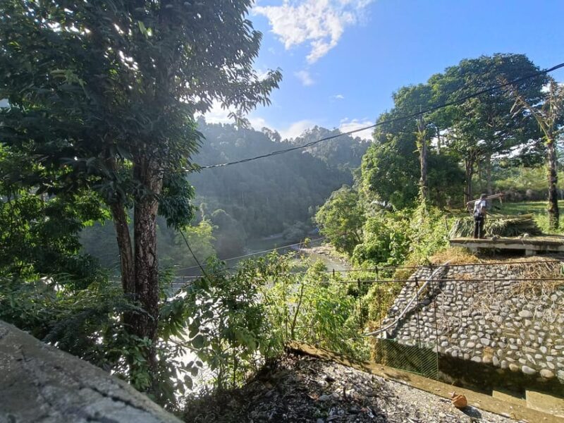 7-Day Orangutan Photo Adventure: Batu Kapal & Bukit Lawang - Wildlife Encounters and Highlights
