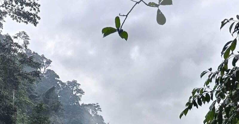 7-Day Orangutan Photo Adventure: Batu Kapal & Bukit Lawang - Batu Kapal: Majestic Cliffs and Waterfalls