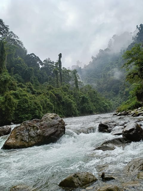 7-Day Orangutan Photo Adventure: Batu Kapal & Bukit Lawang - Gunung Leuser National Park Exploration