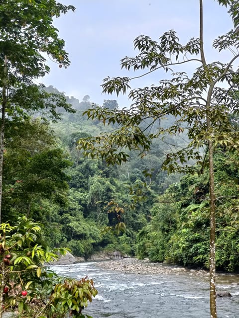 7-Day Orangutan Photo Adventure: Batu Kapal & Bukit Lawang - Inclusions and Important Considerations