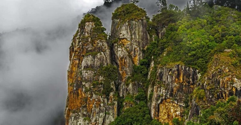 7 Day Private Car Tour: Madurai, Kodaikanal, Munnar, Periyar - Transportation and Services