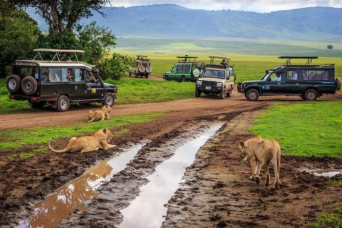 7-Day Safari (Including Serengeti) & Zanzibar Extension - Preparing for the Adventure
