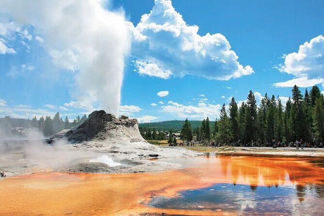 7 -Day Tour from Las Vegas to Yellowstone National Park - Day 7: Vegas Highlights & Outlets
