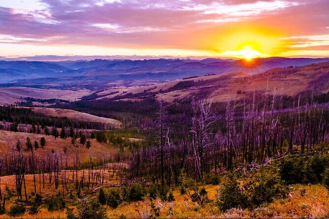 7-Day Tour in Yellowstone and Las Vegas From Salt Lake City - The Value and Who Will Love This Tour