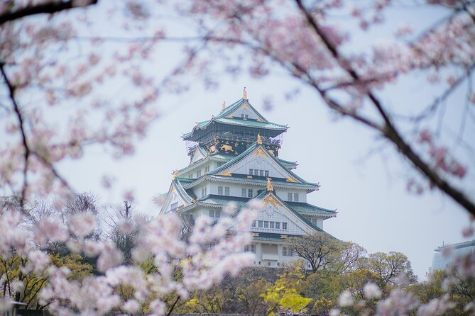 7 Day Tour-The Best of Japan and China - Accommodation and Transportation