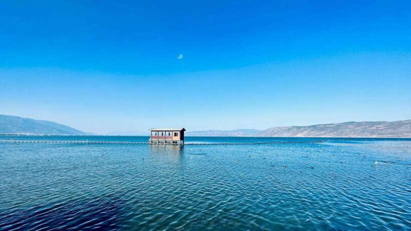 7-Day Yunnan Culture & Nature Tour - Transportation and Group Experience