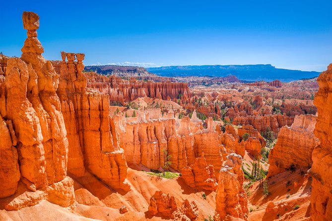 7-Day: Zion, Bryce, Monument Valley, Arches and Grand Canyon Tour - Activities and Adventures Included