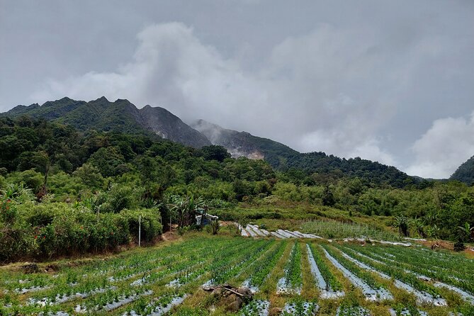 7 Days 6 Nights North Sumatra Tour (Bukit Lawang-Berastagi-Lake Toba) - Meals and Inclusions