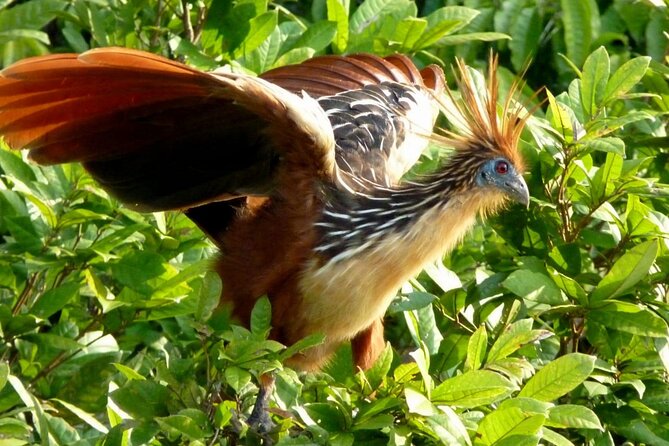 7 Days and 6 Nights Private Tour Manu National Park in Cusco - Accommodation and Amenities