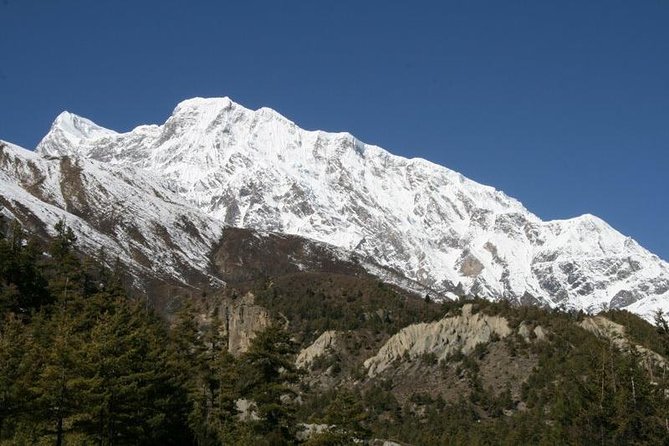 7 Days Annapurna Base Camp Trek From Pokhara - Personalization Options