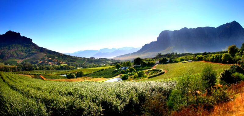 7 Days Cape Town Tour - Good To Know