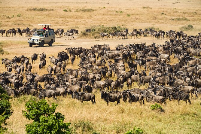 7 Days Cultural and Wildlife Safari - Booking and Policies