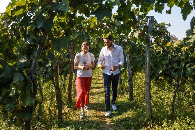 7 Days Grand Georgian Winter Tour From Kutaisi - Authentic Experiences and Practical Considerations