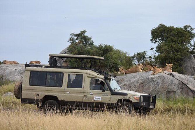 7 Days: Great Migration Mara River Crossing(manyara, Ngorongoro And Serengeti) - Health and Accessibility Considerations
