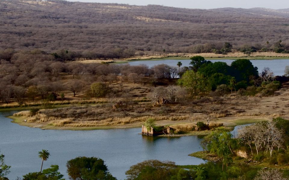 7 Days India Taj Mahal Tour With Ranthambore Tiger Safari - Day 2: Exploring Delhi