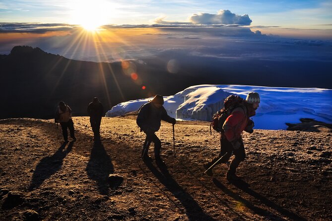 7 Days Kilimanjaro Trek via Machame Route - Good To Know