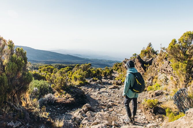7 Days Kilimanjaro Trek via Machame Route - Safety and Guidance