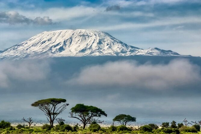 7 Days Kilimanjaro via Machame Route Affordable Price - Day-by-Day Breakdown