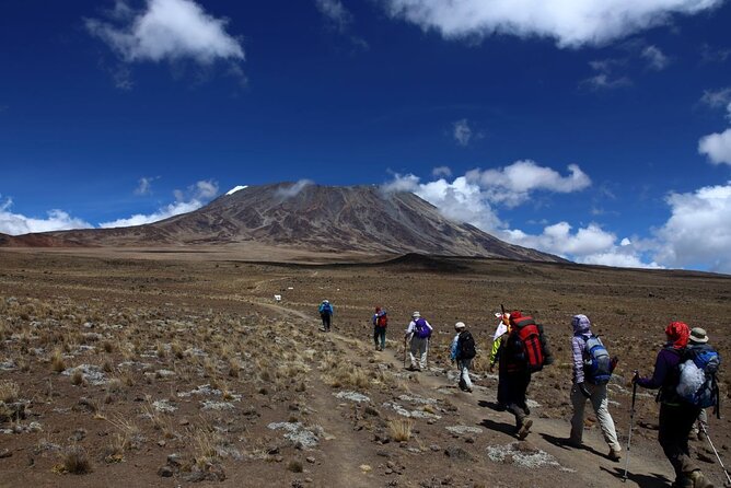 7 Days Kilimanjaro via Machame Route Affordable Price - Physical Requirements