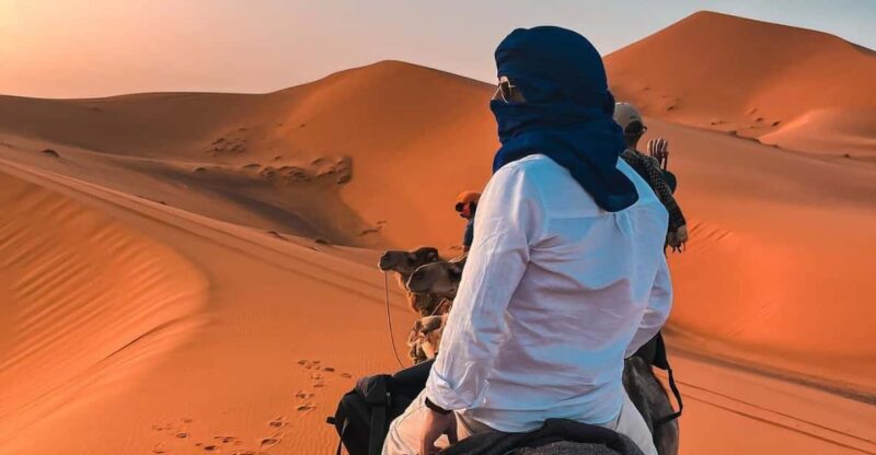 7 Days Luxury Desert Tour From Casablanca to Marrakech - Good To Know