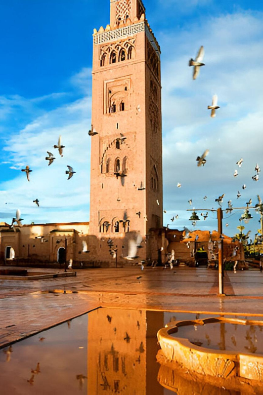 7 Days Luxury Desert Tour From Casablanca to Marrakech - Casablanca to Chefchaouen