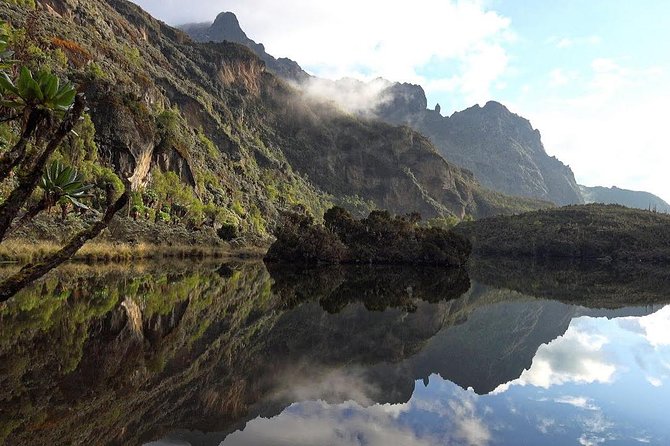 7 Days Rwenzori Summit (Margherita Peak) Hike - Hiking to Margherita Peak