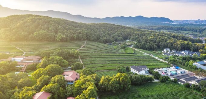 7 Days Shanghai, Hangzhou, Suzhou Highlights Tour - Arrival and Check-in