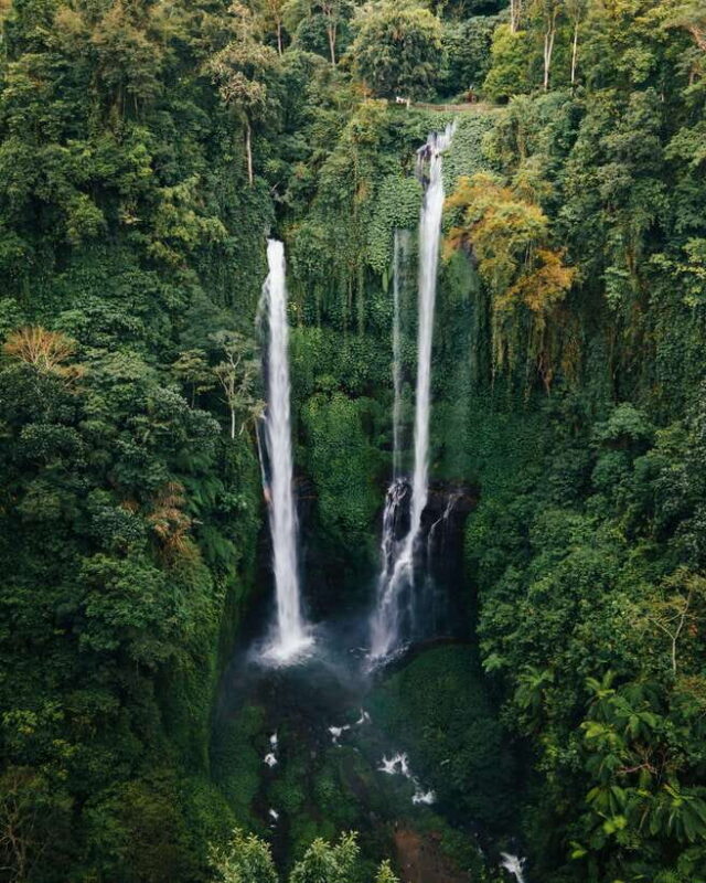 7 Hiden waterfalls and Luwak Coffee Visit - A Closer Look at the Tour Experience