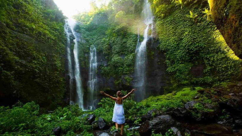7 Hiden waterfalls and Luwak Coffee Visit - Transport and Group Size: Comfort and Personalization