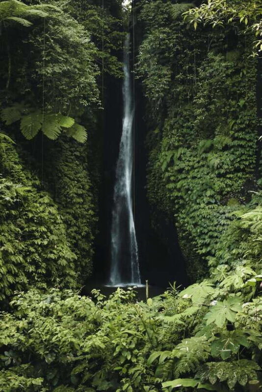 7 Hiden waterfalls and Luwak Coffee Visit - Final Thoughts