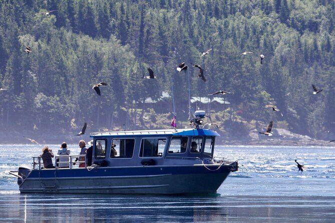 7 Hour Big Animal Encounter - The Itinerary in Detail