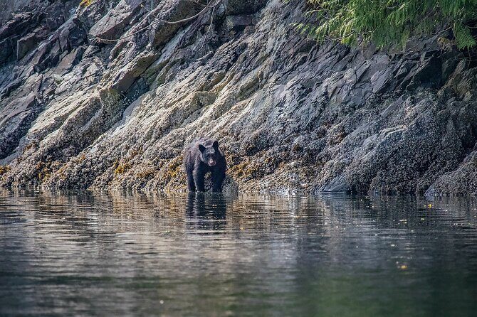 7 Hour Big Animal Encounter - FAQ - Your Questions Answered